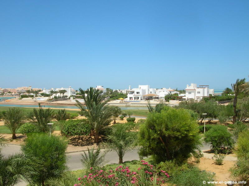 El Gouna Golf Club 8050